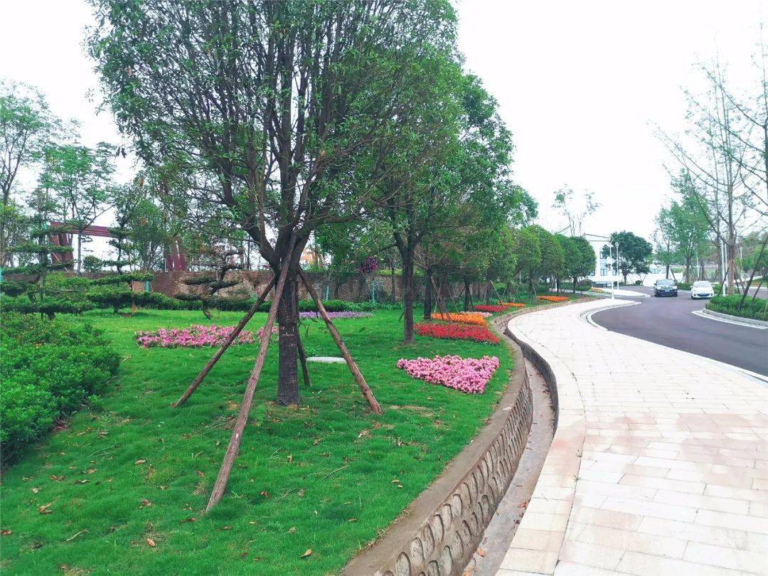 什么是生态安葬墓地 1ad44c405cb348178f5735d16b06df55.jpeg