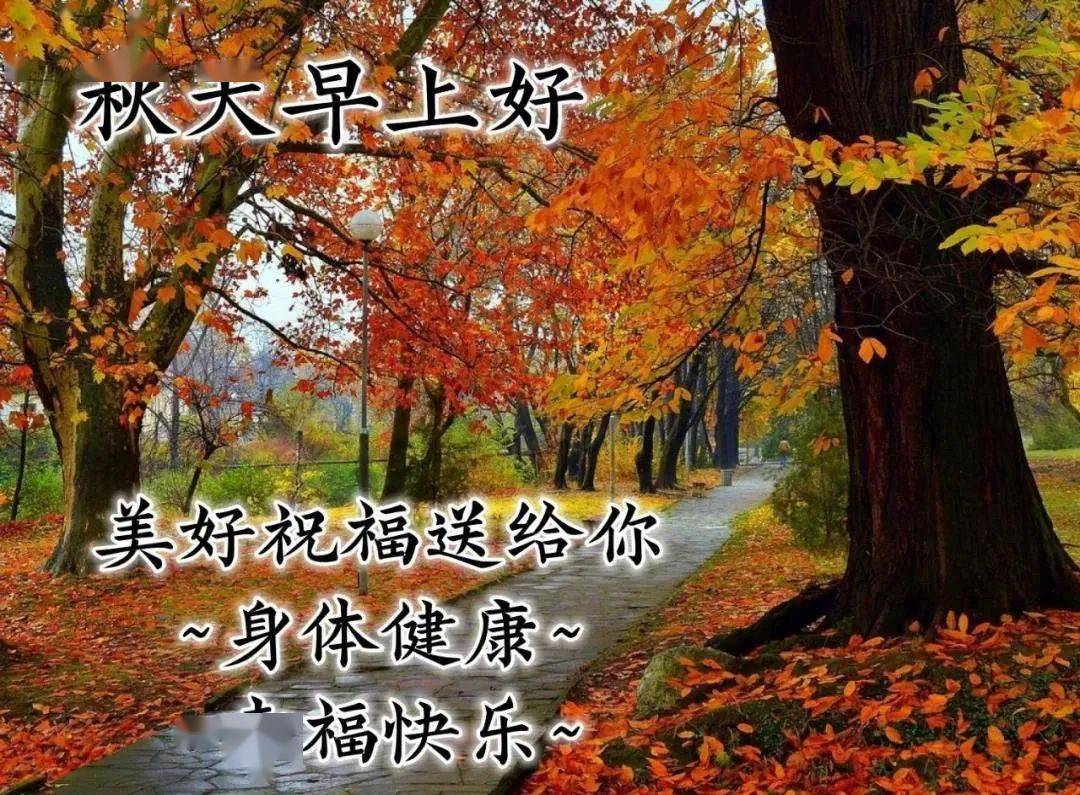 6张最新有创意秋天枫叶早安图片带字带祝福语 唯美秋天风景早上好图片