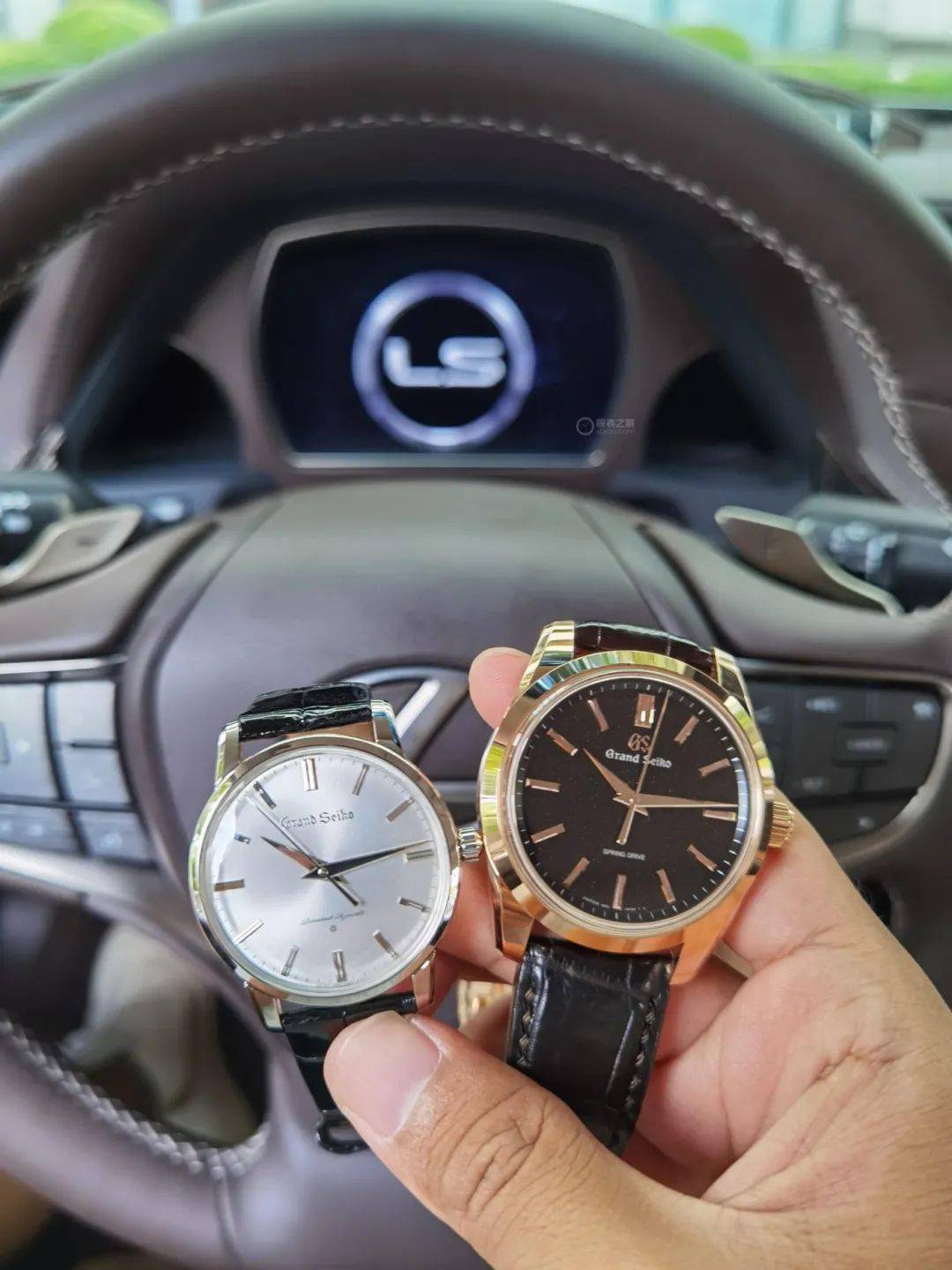 低调|29万的冠蓝狮——完美诠释了低调的奢华，高级的平凡