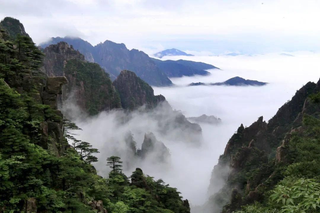 夏天,黄山是名副其实的"天然氧吧,尤其是下雨后.