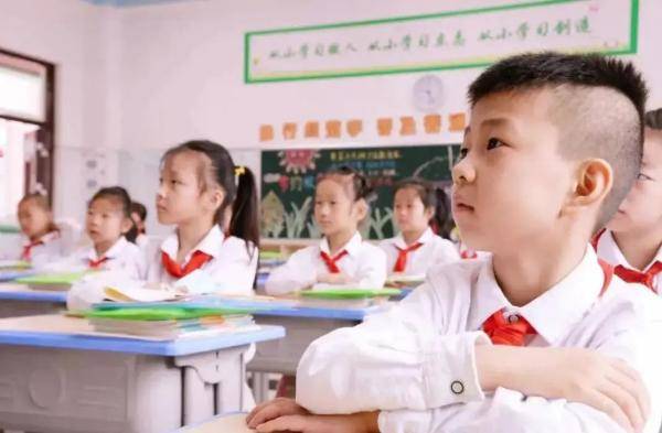 活动|培养节粮爱粮好习惯，各地中小学有这些妙招儿