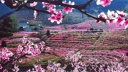 7ca80c4c19b24d37ad76f8067ef1dedc.png