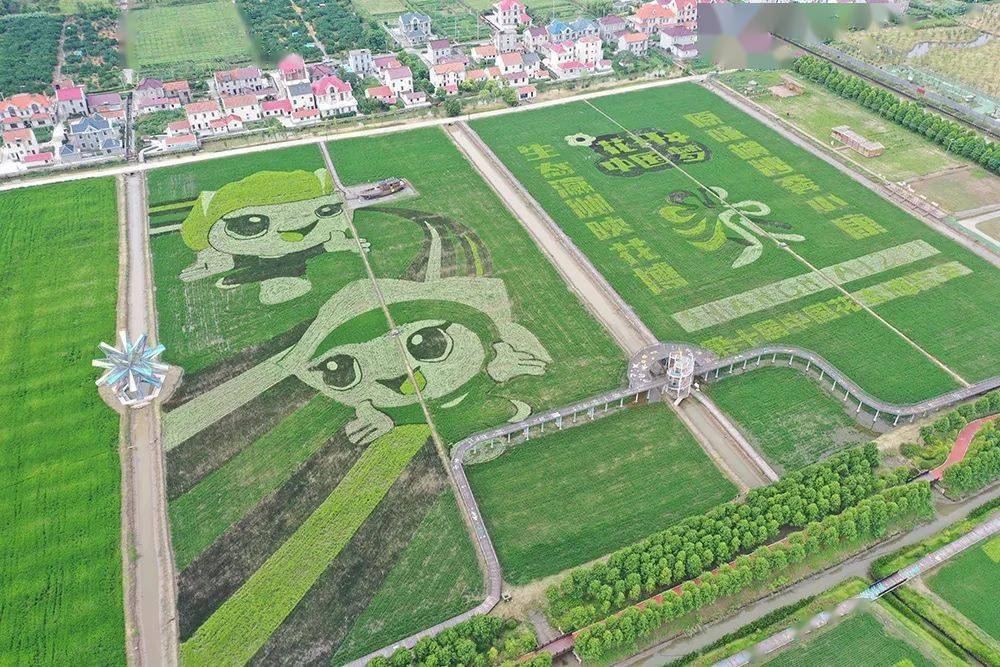 华西2020村年收入gdp_近十年中国gdp数据图(3)