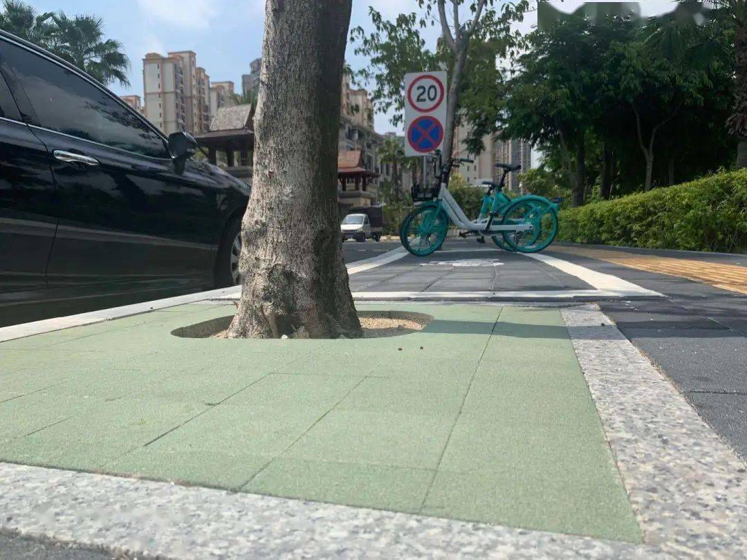 树池"绿"了,人行道变宽了!