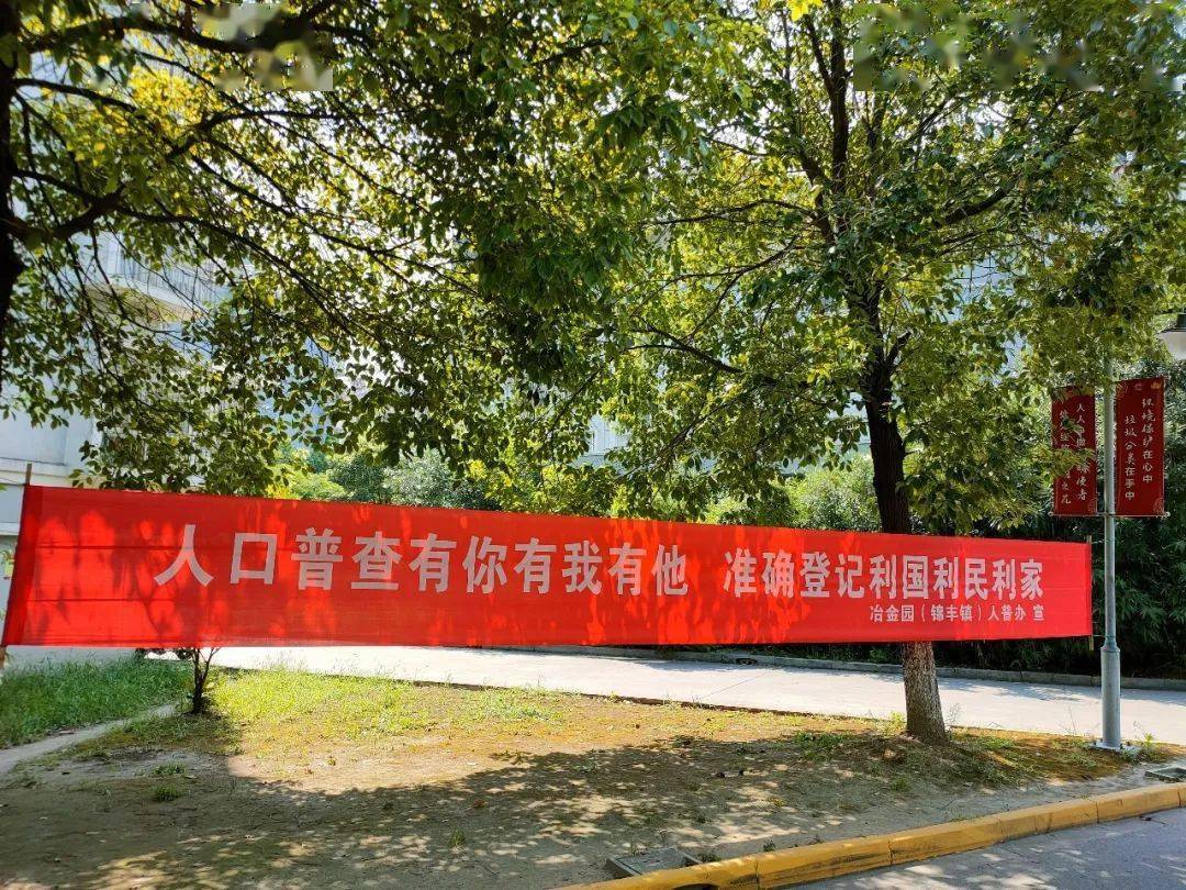 第七次人口普查线上线下宣传_第七次人口普查宣传图(3)