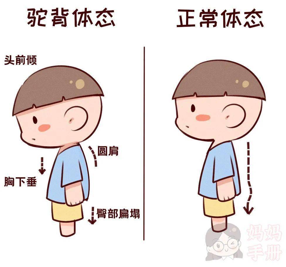 孩子错误坐姿,竟影响身高和健康,很多家长后悔看晚了!