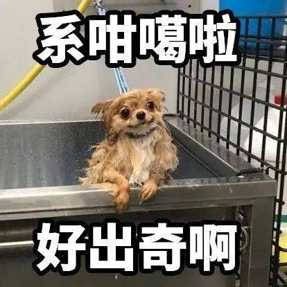 广东|微信哩个功能，原来系广东人专属！