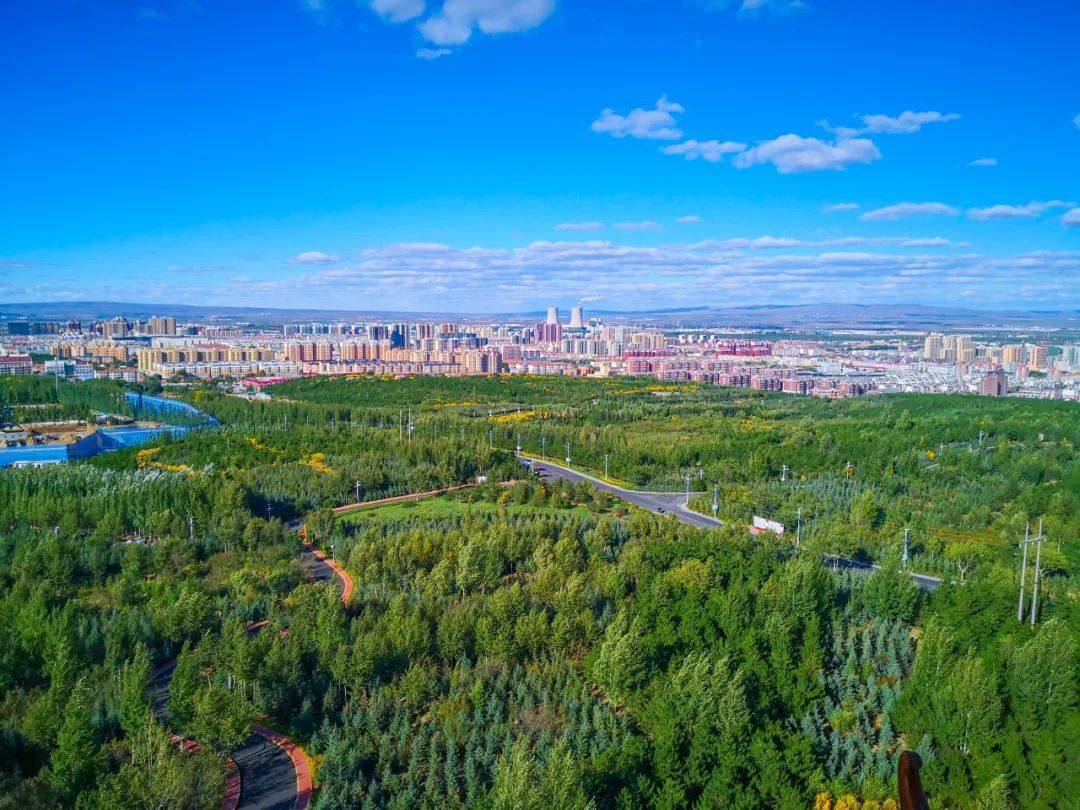 乌兰察布市白泉山生态建设实景