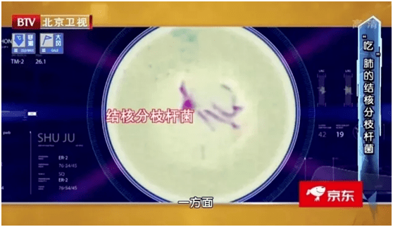 9724e76e5b194eab986c81979572442d.png