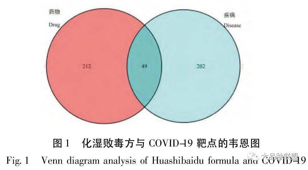 革兰染色的原理和关键是什么_革兰染色原理(2)