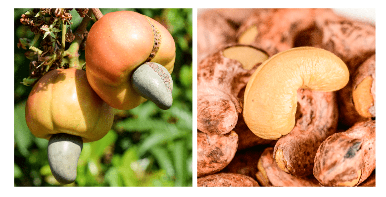 坚果|一定要试试这款【带衣腰果】了！又营养又好吃！平时喜欢吃坚果的股东