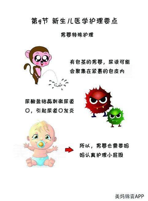 宝宝|男婴包皮过长的特殊护理？