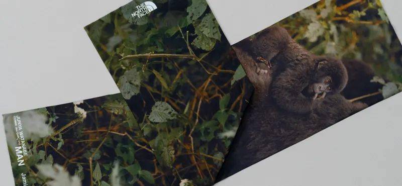 品牌|这波联名款的衣服,可以防病毒。