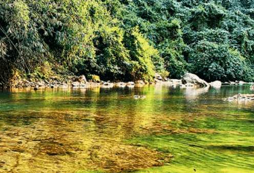 乡村旅游看临沧丨南滚河自然保护区