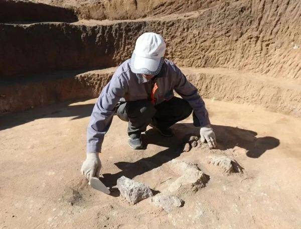 遗址|重大发现！内蒙古发现距今8400—7600年的遗址
