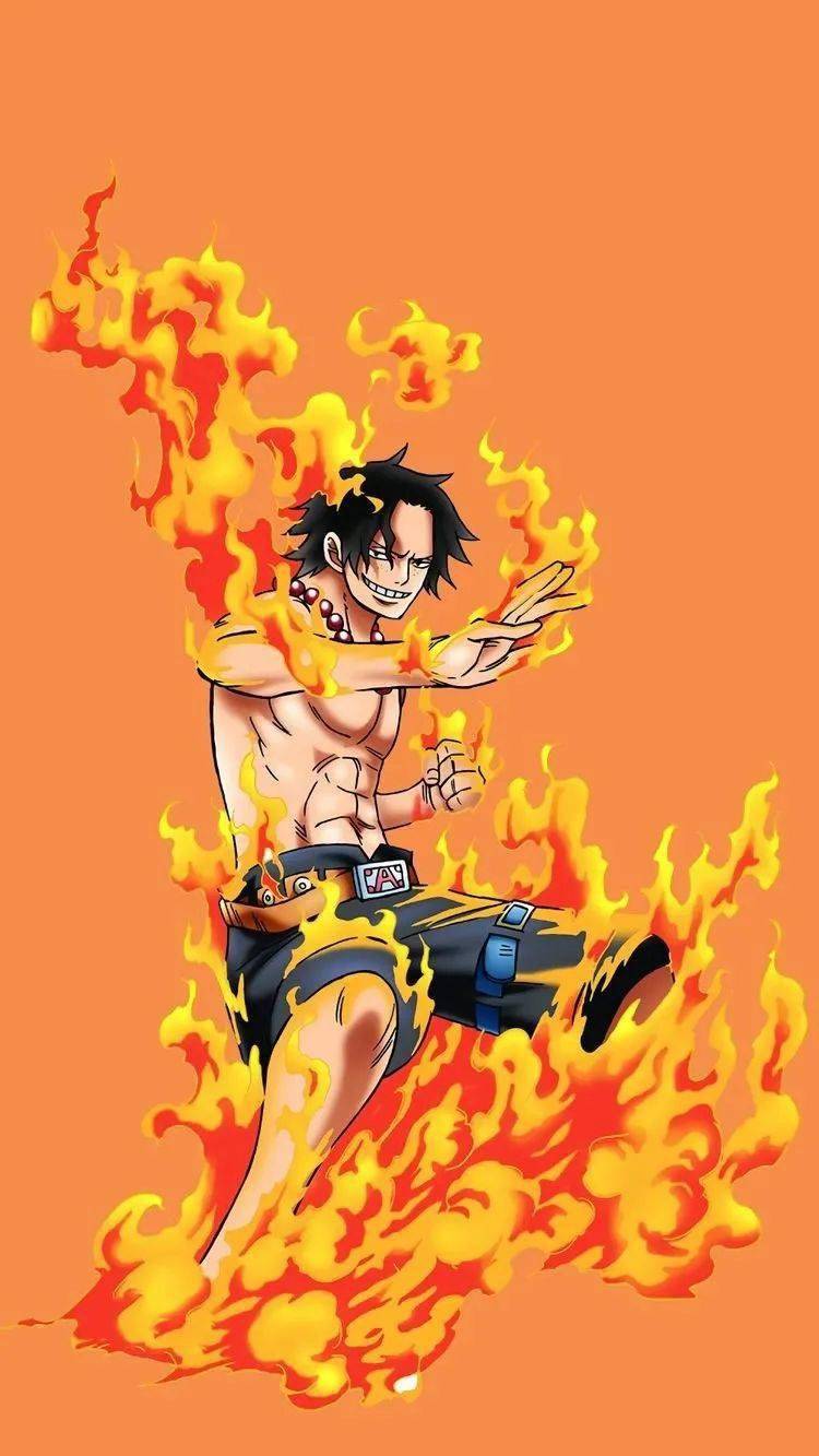 壁纸|海贼王 爱死这个男人!