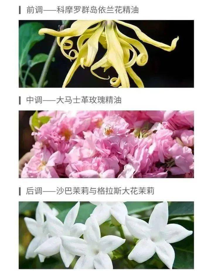 Dior|早知道有这个，我的香水就不会用到变质了！