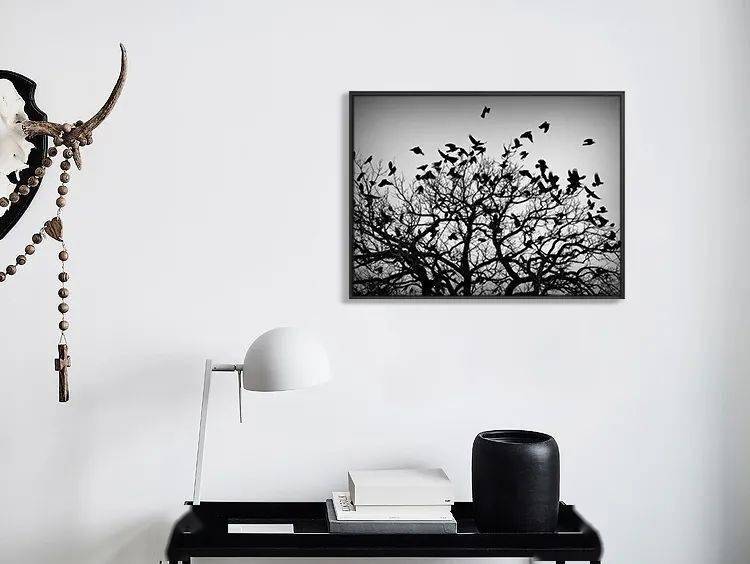 照片|显穷大白墙+网红装饰画=悲剧！