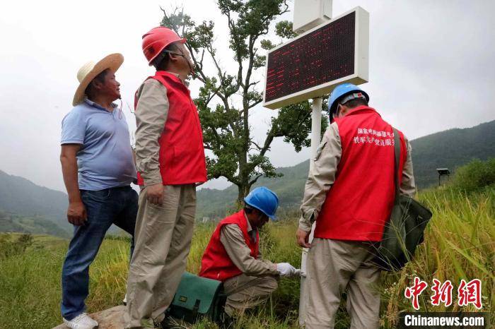 福建|金色稻田说丰年 福建“联合梯田”铺“致富路”