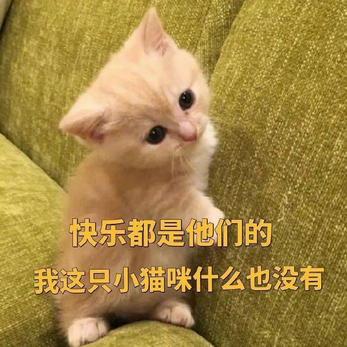 我想要一个亲亲