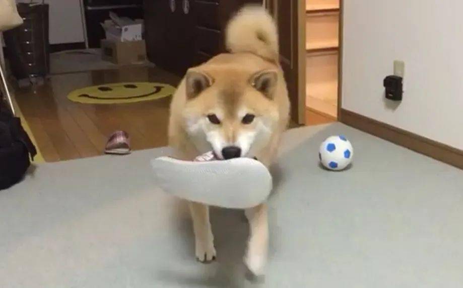 f4c6736b316e4b5e91b864c244c6e274.jpeg