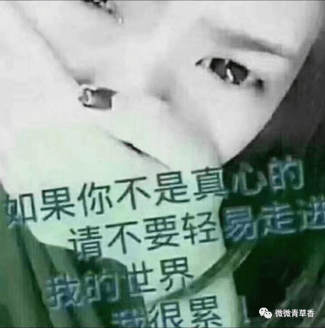 如果你不是真心请滚出我的世界