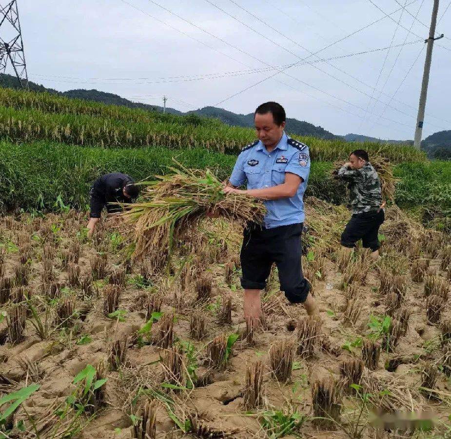 沱江派出所,腊尔山派出所,禾库派出所,三拱桥派出所,千工坪派出所等等