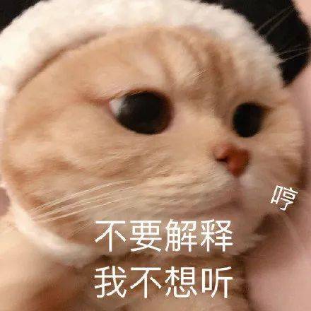 表情包|可爱沙雕表情包(42张)