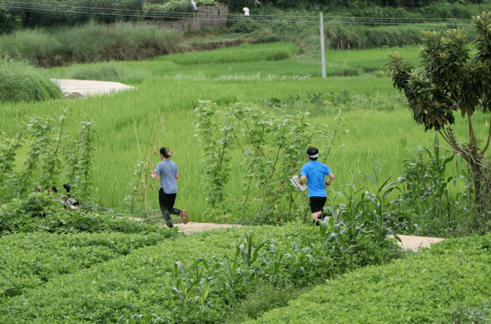 景区提档升级！新增多个网红打卡点！肇庆正推进全域旅游发展封开县 3771