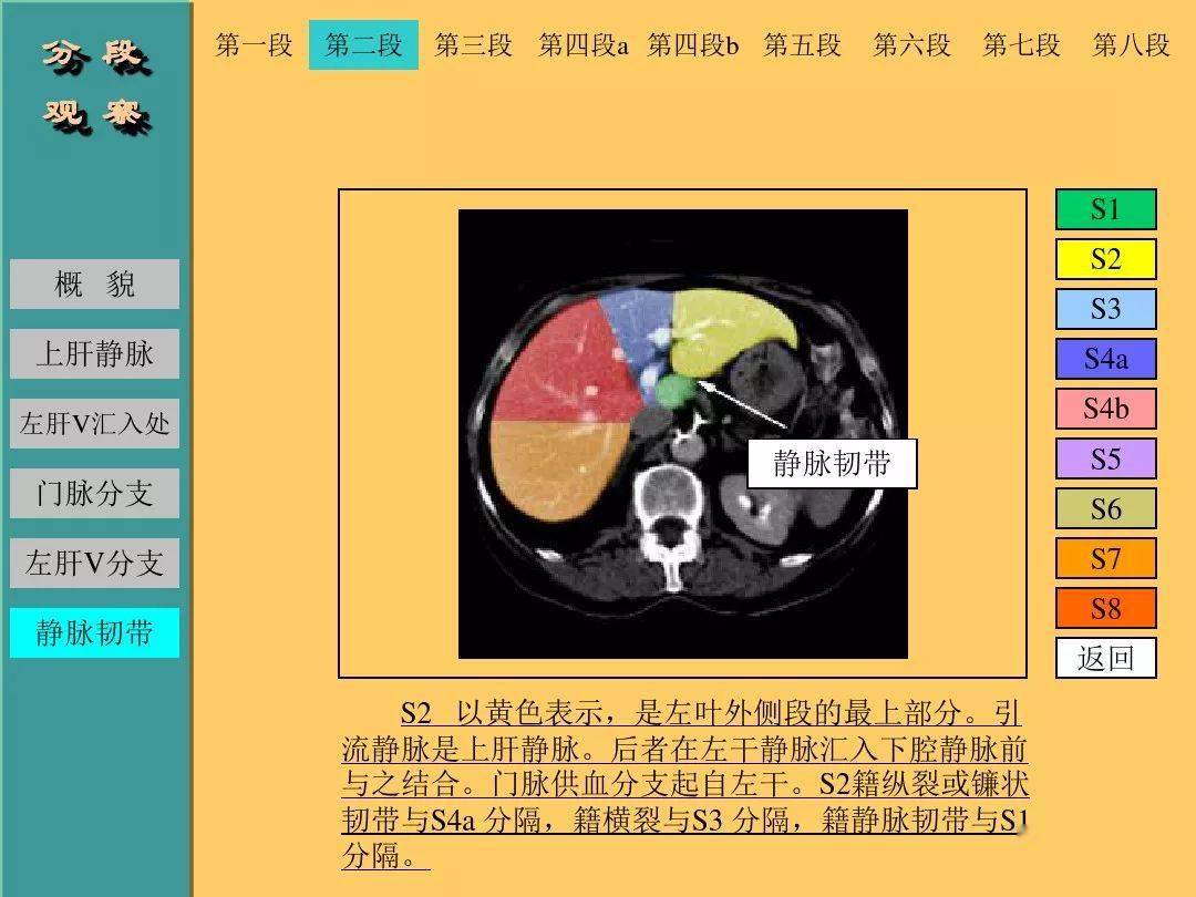 肝脏的ct断层解剖详解值得收藏