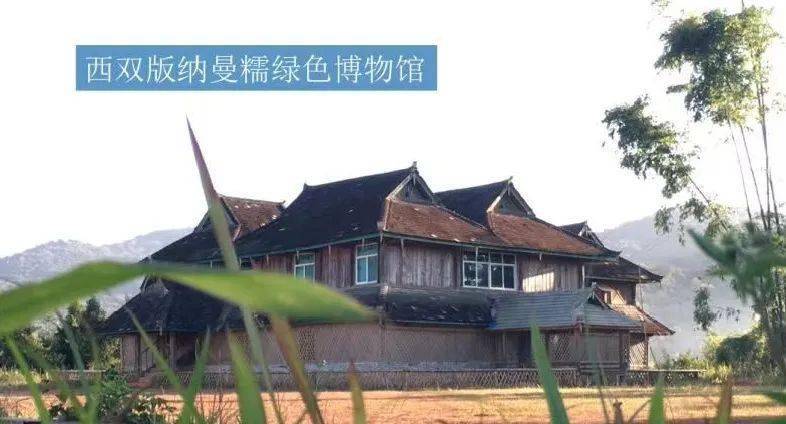 西双版纳2021gdp_2021年西双版纳泼水节(2)