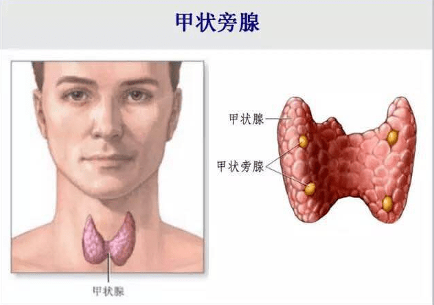 ca35c8f0d64e4276a54584fbd1477e32.png