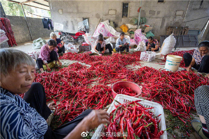 攻坚|【脱贫攻坚·小康路】从田间地头到百姓餐桌 农村电商助力脱贫攻坚