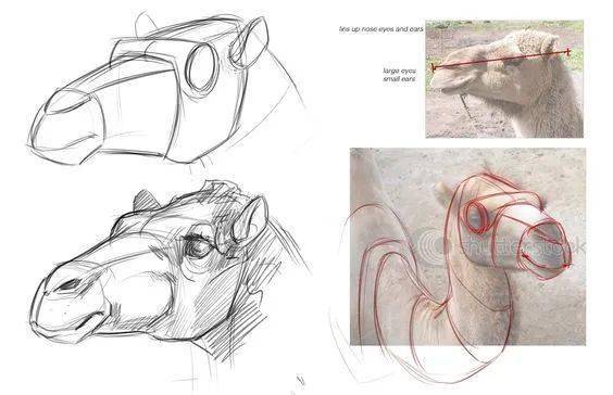 
仿生造型设计仅仅是对自然生物的简朴模拟吗？「手绘530Day」‘jbo竞博官网’(图2)