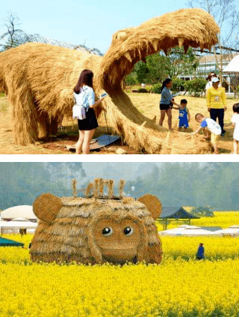 稻田艺术赏