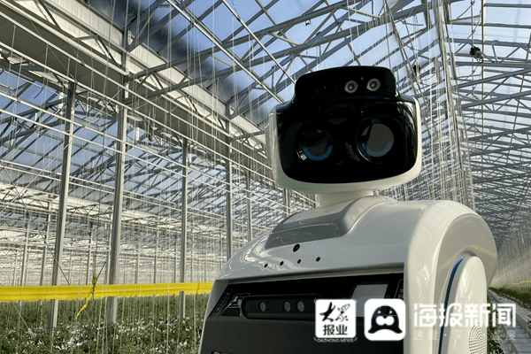 山东农业工程学排名_号外!提前批招收“新农科实验班”,山东农业大学这