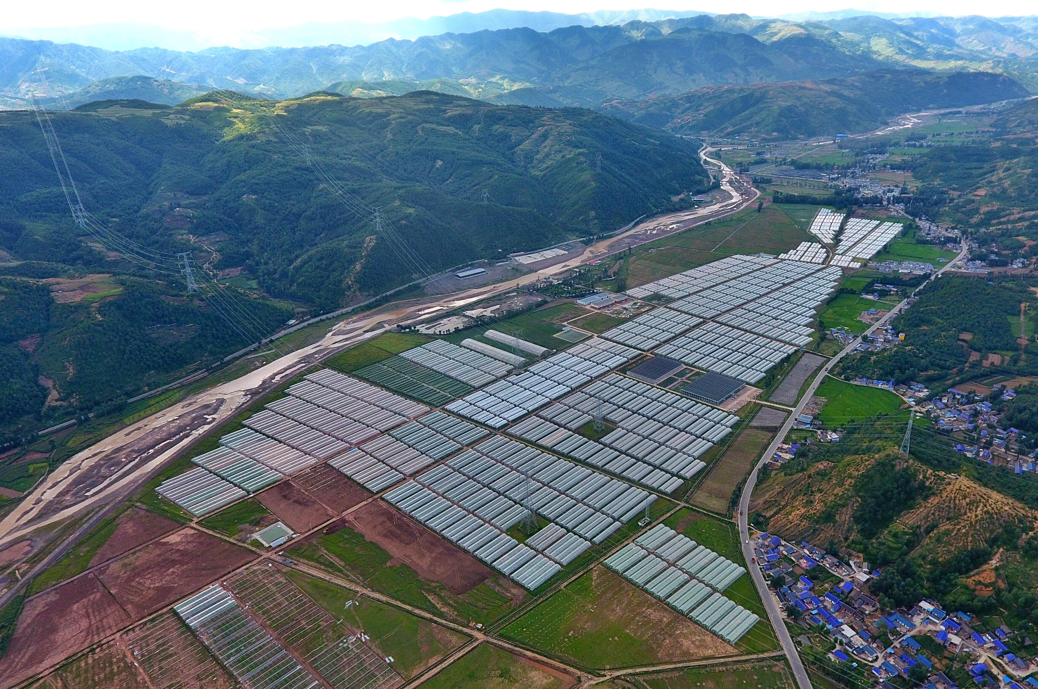 这是8月10日在四川省凉山彝族自治州昭觉县拍摄的涪昭现代农业产业园