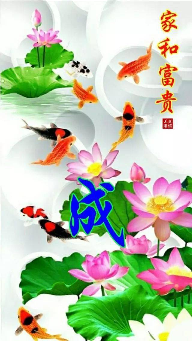 中老年头像大全:荷塘月色等风景系列手机壁纸,赶紧抱