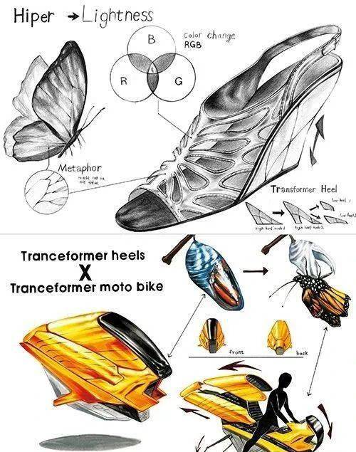 仿生造型设计仅仅是对自然生物的简单模仿吗手绘530day