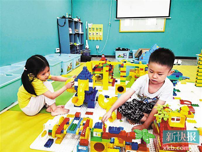 编程|学编程要从娃娃抓起 VS 太早学习可能起反作用