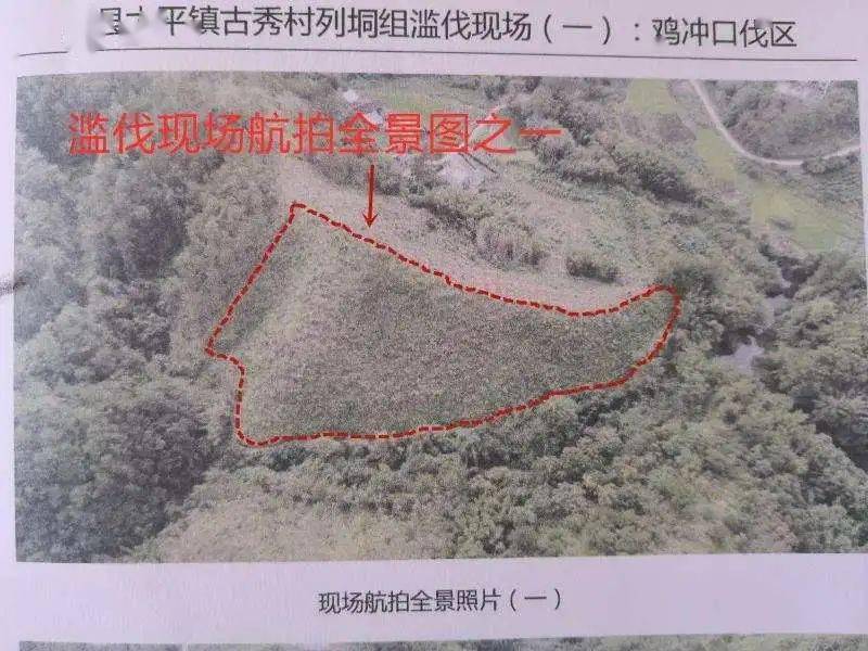 广东gdp2020年8月_广东揭阳gdp(3)