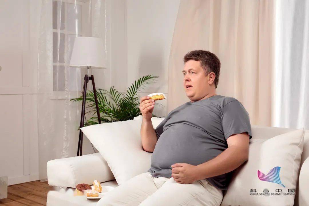 生活科普 |为啥总是男人胖肚,女人胖腿?肥胖真的会让人寿命变短?