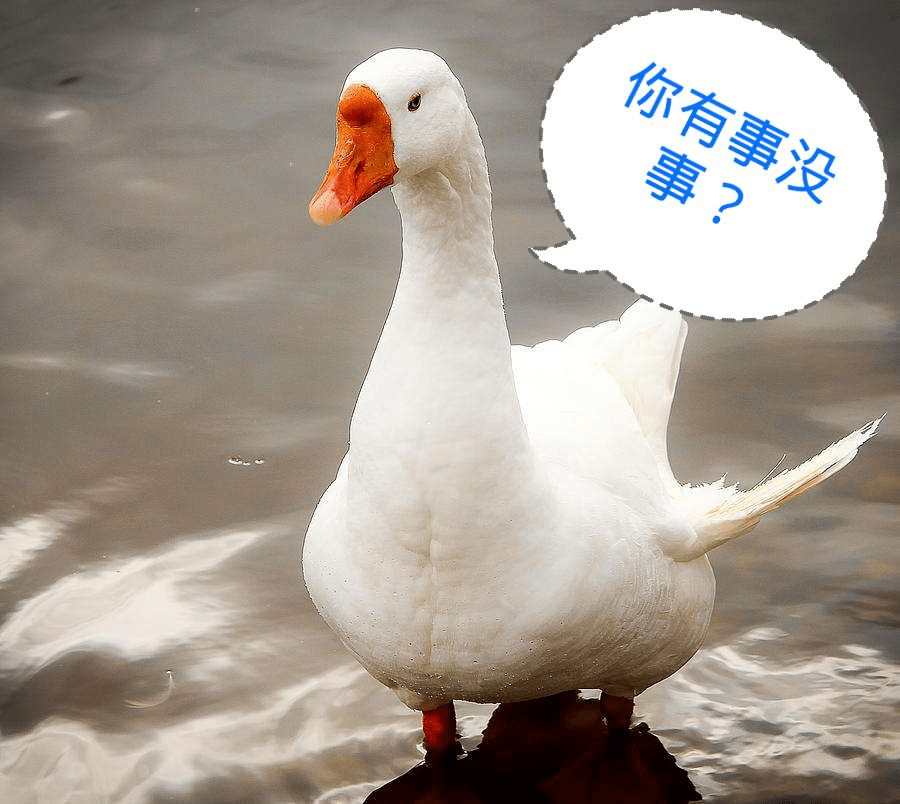 谣言|长大就好了？这个谣言害惨了无数孩子！孩子小时候胖没关系