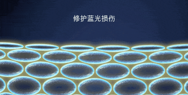 蒸汽|能当眼膜用的蒸汽眼罩，眼霜前都省了！