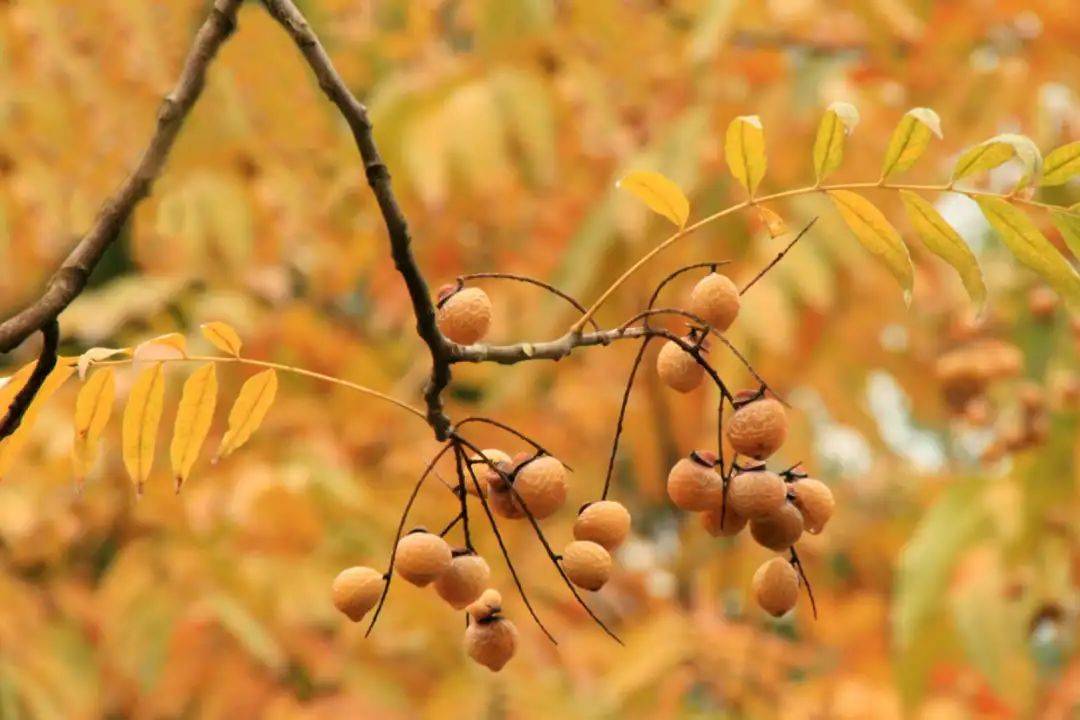 图片|说出来你可能不信,让鬼见愁的可能是洗手液