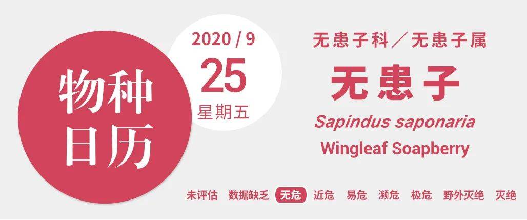 图片|说出来你可能不信,让鬼见愁的可能是洗手液