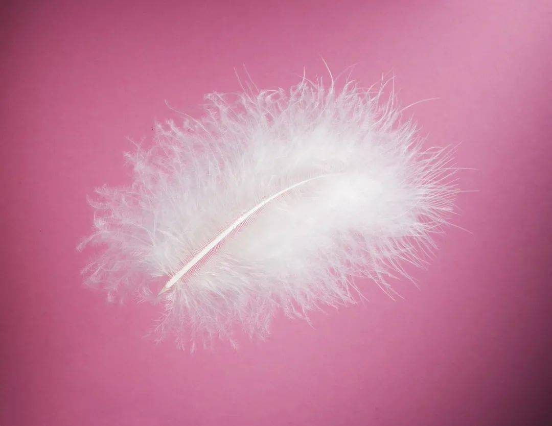 幸福感|这个曾经是男孩专属的颜色，竟让人好有幸福感~