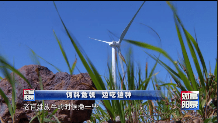 阳泉镇人口_阳泉郊区牵牛镇村(3)