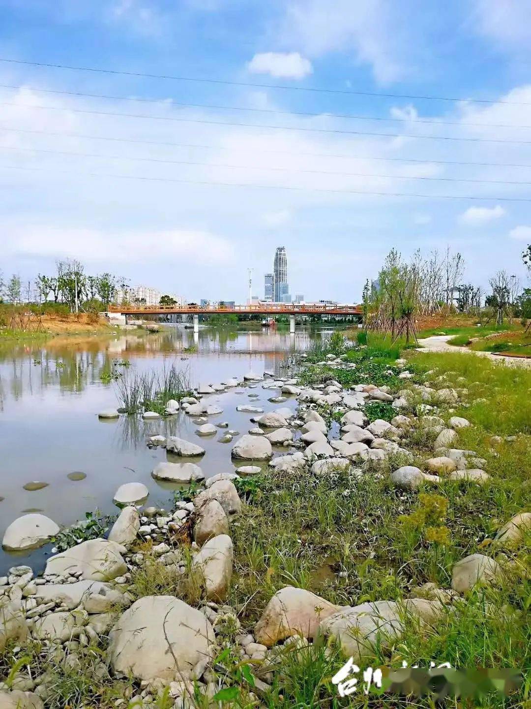 10月开园,台州再添一处湿地景观_公园