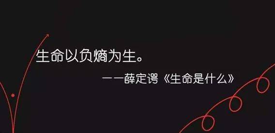 电影《信条》中的"熵减"理论对于管理的启示